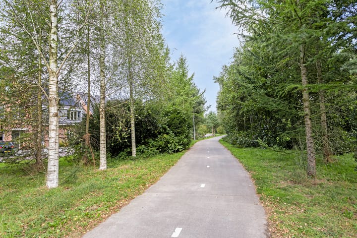 Foto 33 van Leembergerhout 4