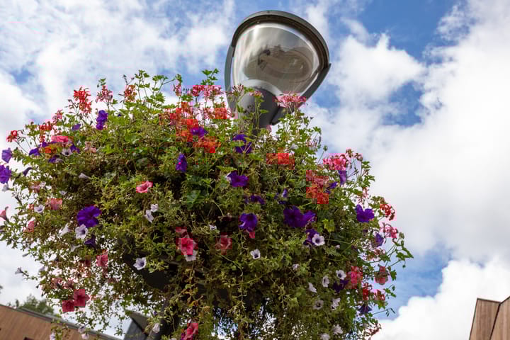 Foto 34 van Groot Vijverdal 20