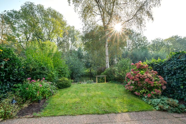 Foto 3 van Spicaring 19