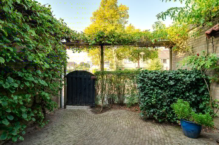 Photo 6 of Spicaring 19