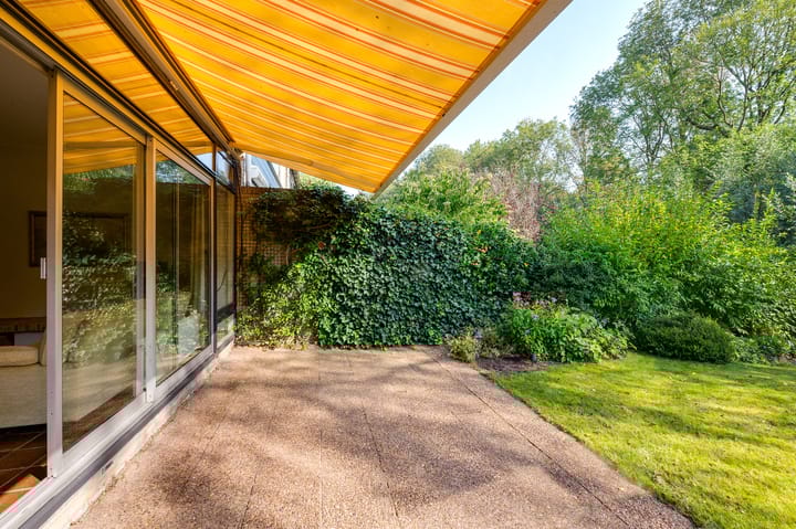 Photo 11 of Spicaring 19