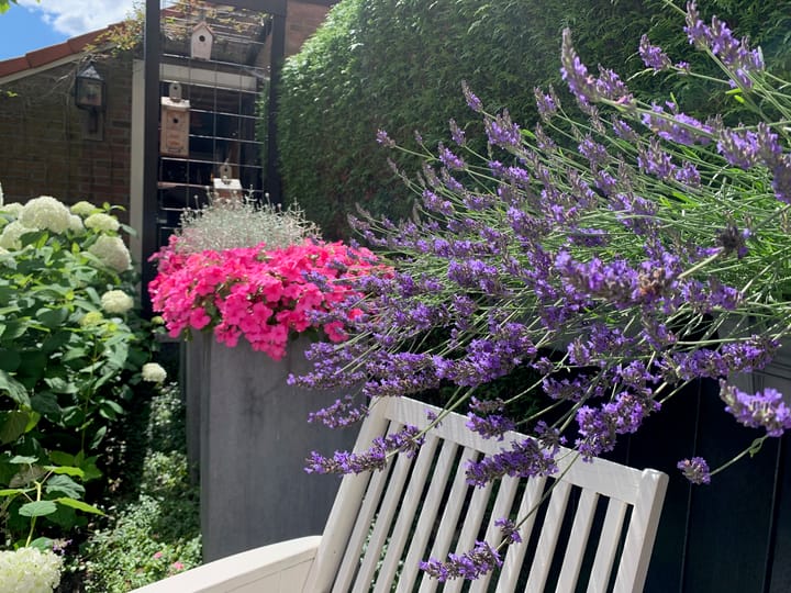 Foto 28 van Cruquiusstraat 1