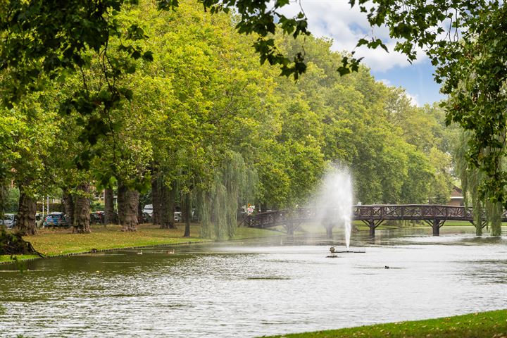 Bekijk foto 47 van Claes de Vrieselaan 77-A