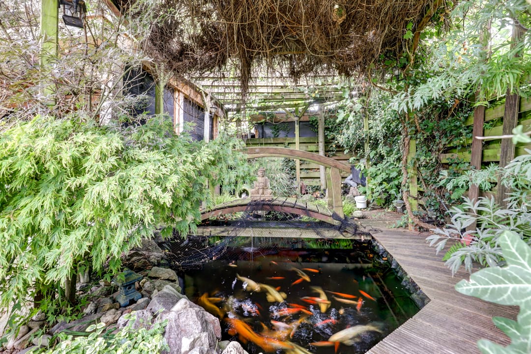 Foto 31 van Doornik 15