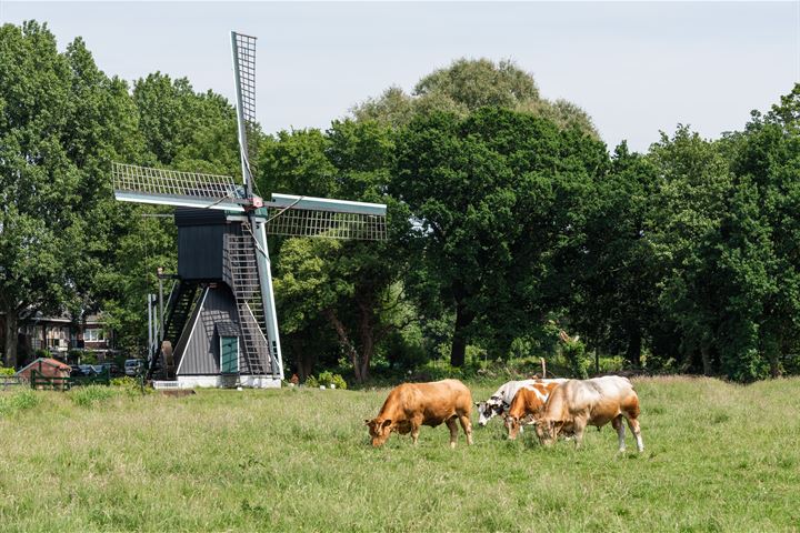 Bekijk foto 42 van Kornetstraat 46