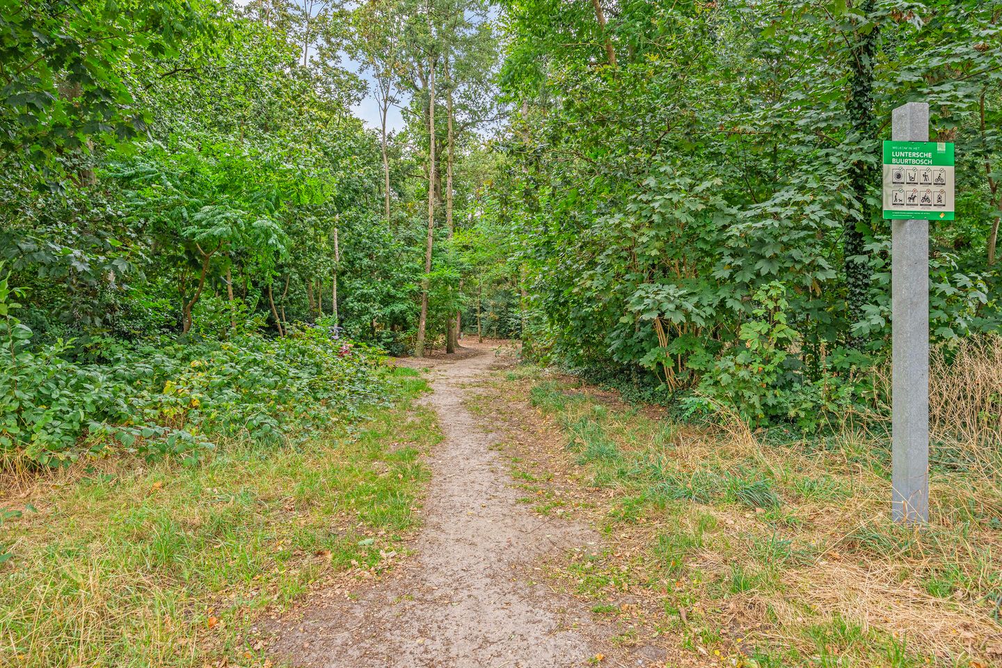 Foto 50 van Wilbrinkstraat 26