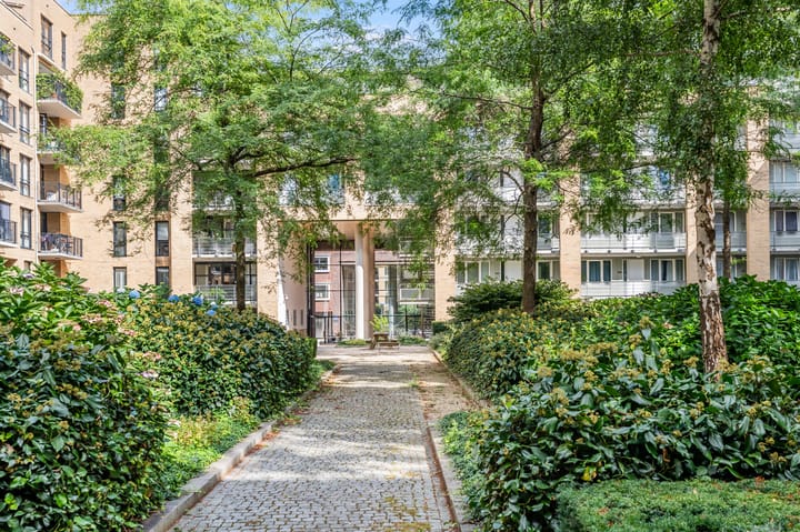 Foto 62 van Afroditekade 182-A