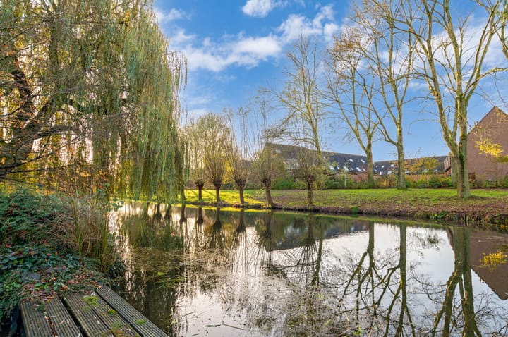 Foto 4 van de Balmerd 28