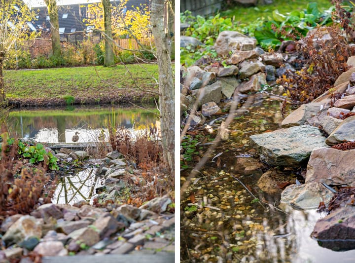 Foto 39 van de Balmerd 28