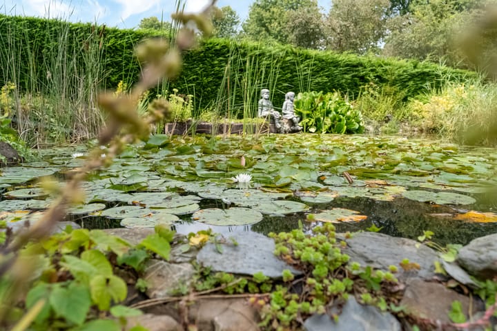 Foto 40 van de Balmerd 28