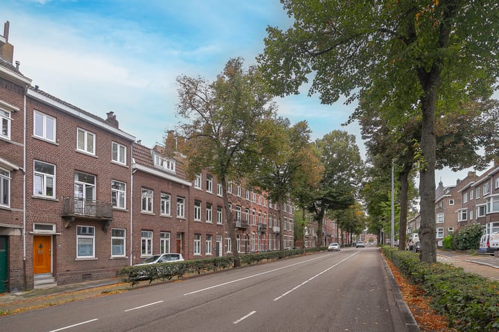 Foto 24 van Statensingel 169