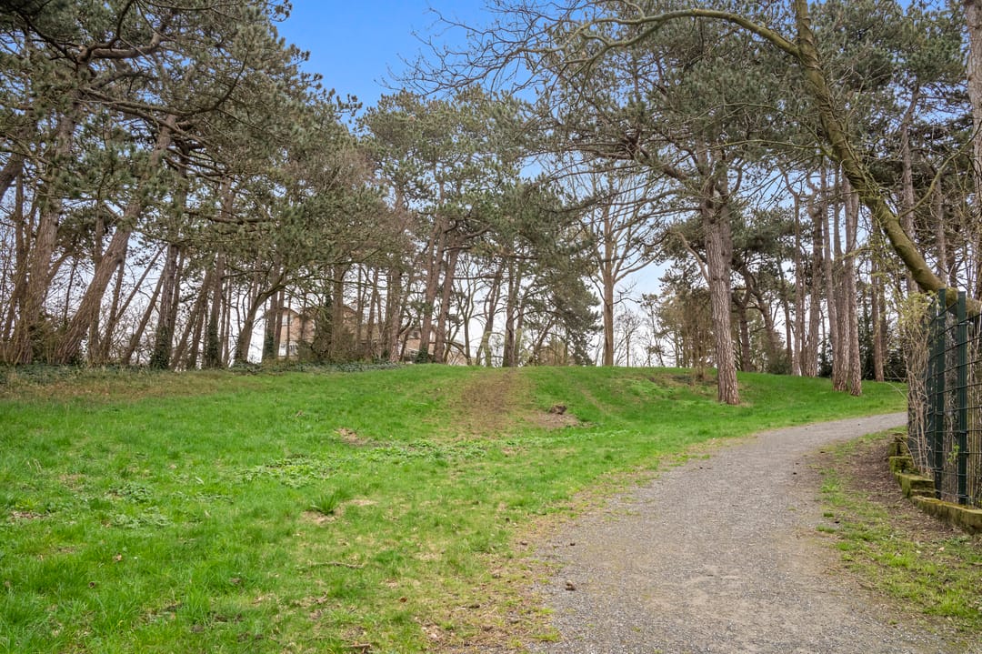 Photo 46 of Nieuwe Parklaan 22-B