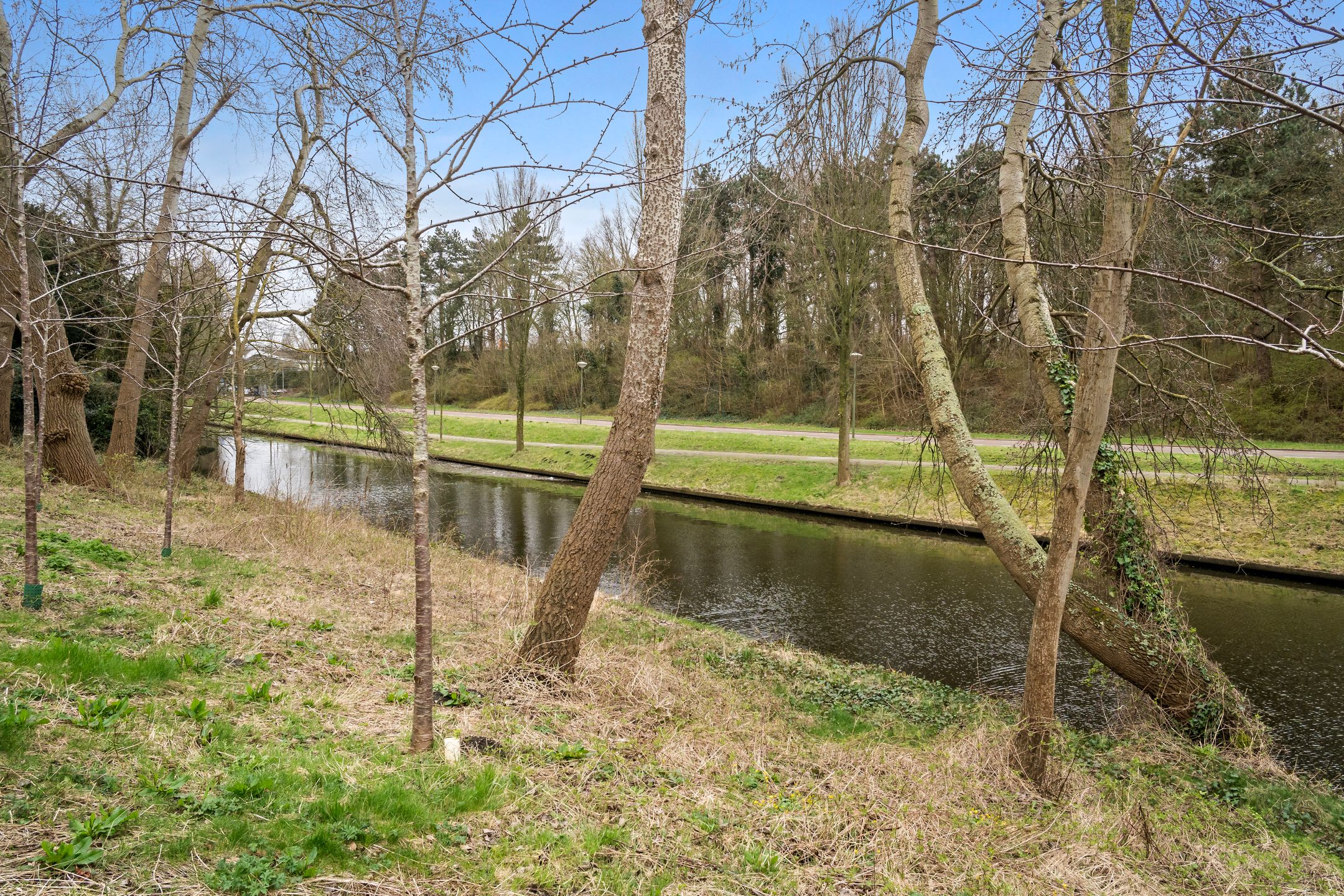 Photo 48 of Nieuwe Parklaan 22-B