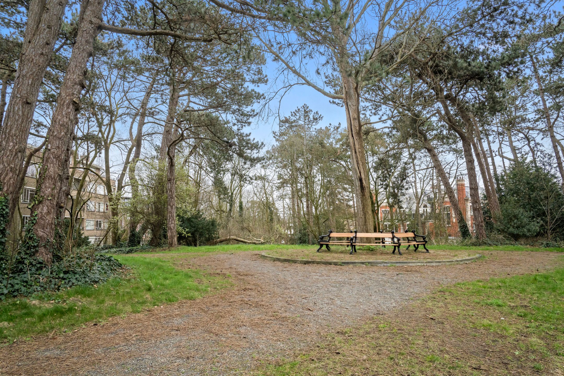 Photo 51 of Nieuwe Parklaan 22-B