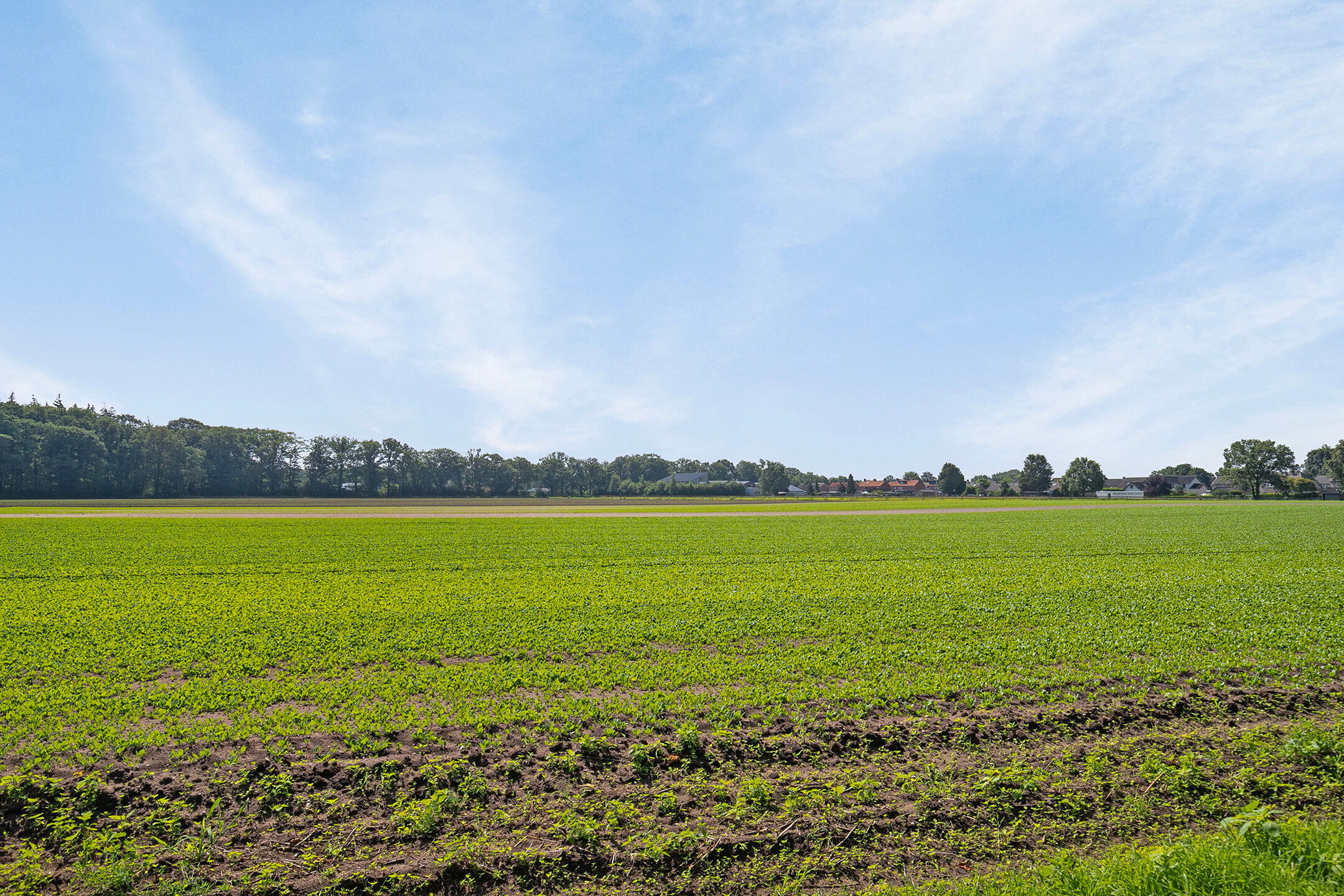 Photo 24 of Eikenlaan