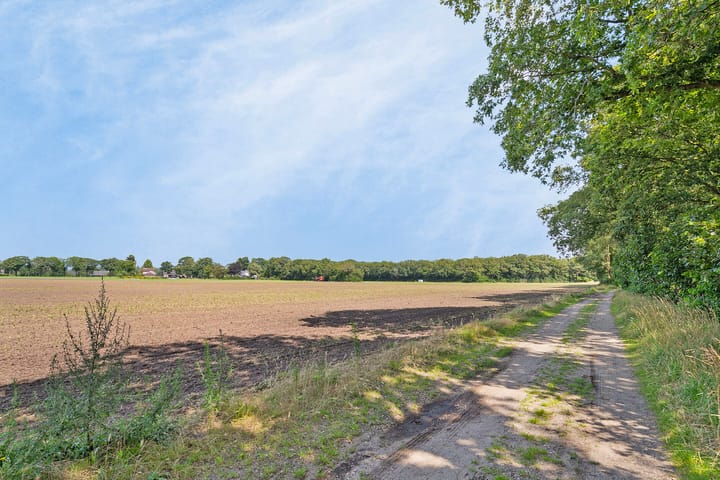 Foto 25 van Eikenlaan