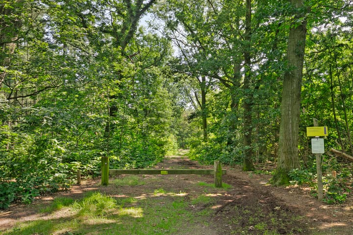 Foto 28 van Eikenlaan