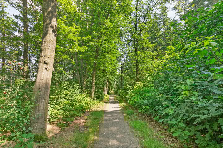 Foto 29 van Eikenlaan