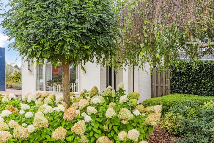 Foto 10 van Foarwei 64