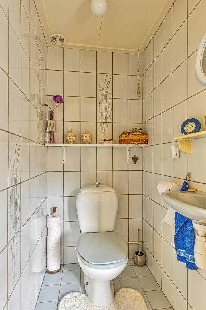 Foto 12 van Foarwei 64