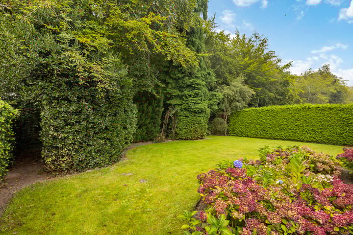 Foto 33 van Stiendollen 21