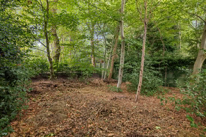 Foto 34 van Stiendollen 21