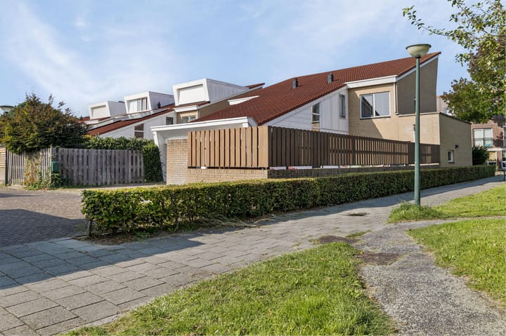 Foto 2 van Sneeuwvlok 17