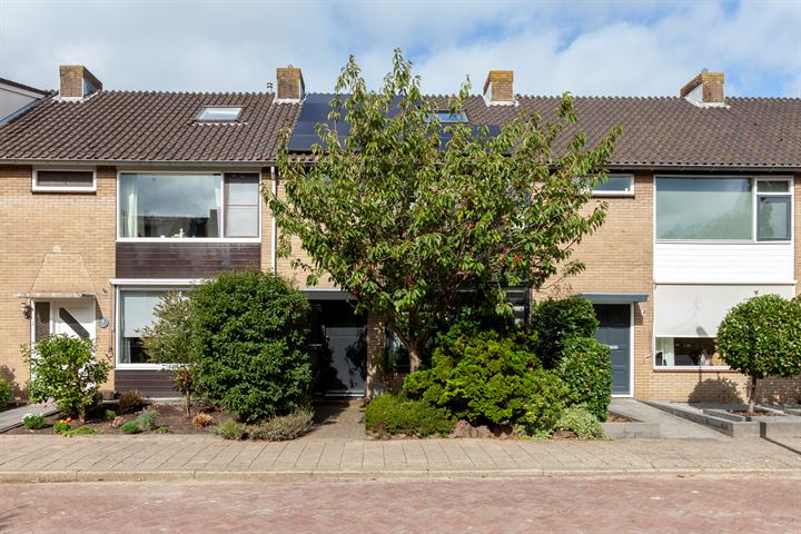 Bekijk foto 33 van Vreedenburghstraat 6