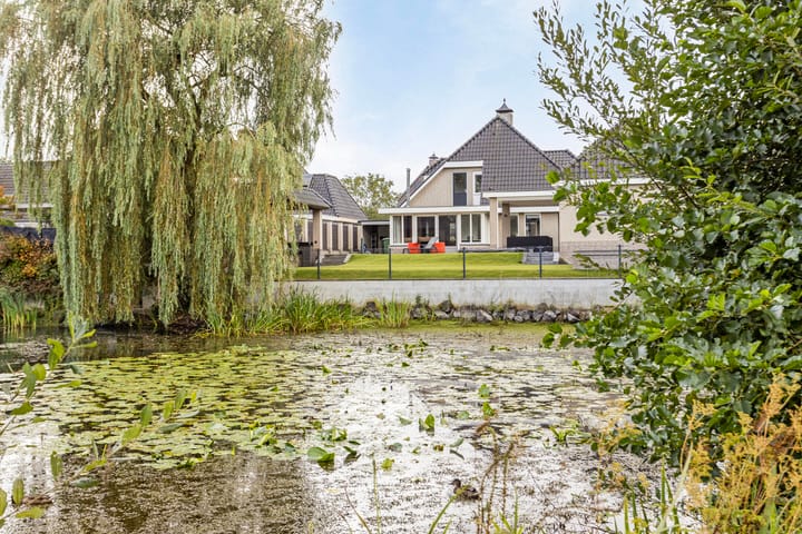 Foto 1 van Pinksterbloem 6