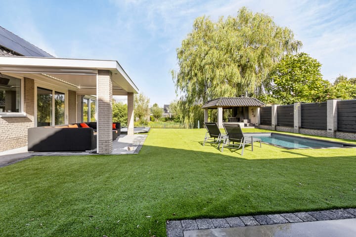 Foto 42 van Pinksterbloem 6