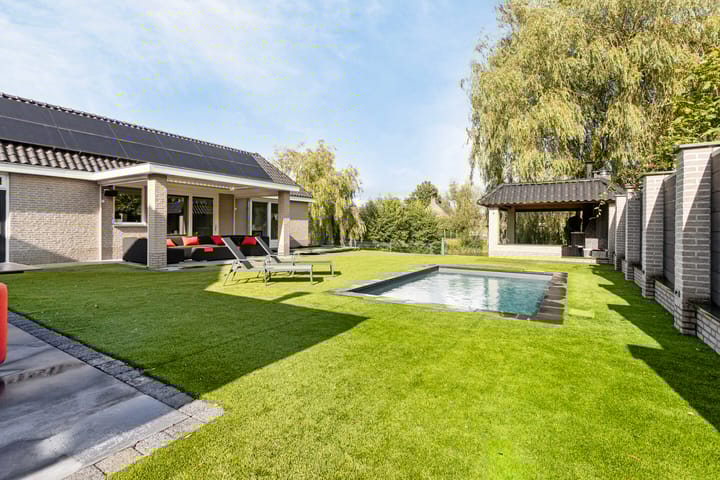 Foto 43 van Pinksterbloem 6