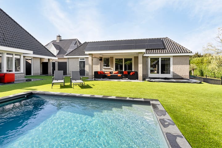 Foto 44 van Pinksterbloem 6