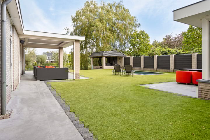 Foto 51 van Pinksterbloem 6