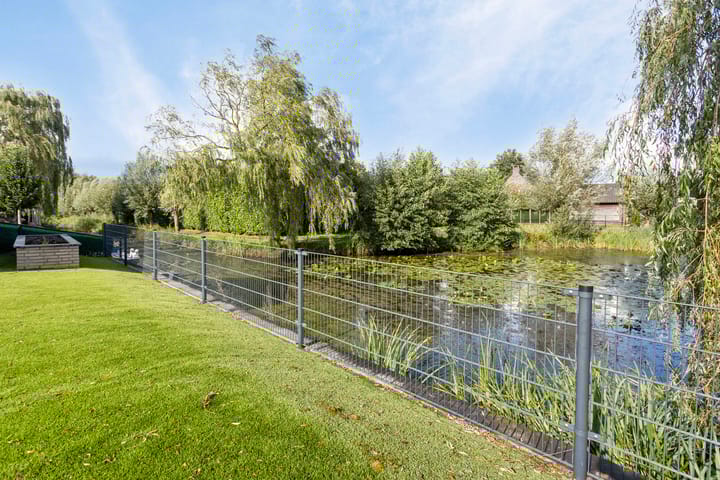 Foto 54 van Pinksterbloem 6