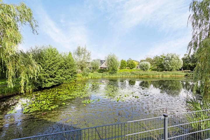 Foto 62 van Pinksterbloem 6