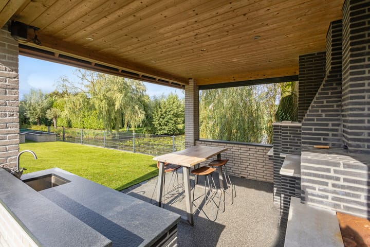 Foto 52 van Pinksterbloem 6