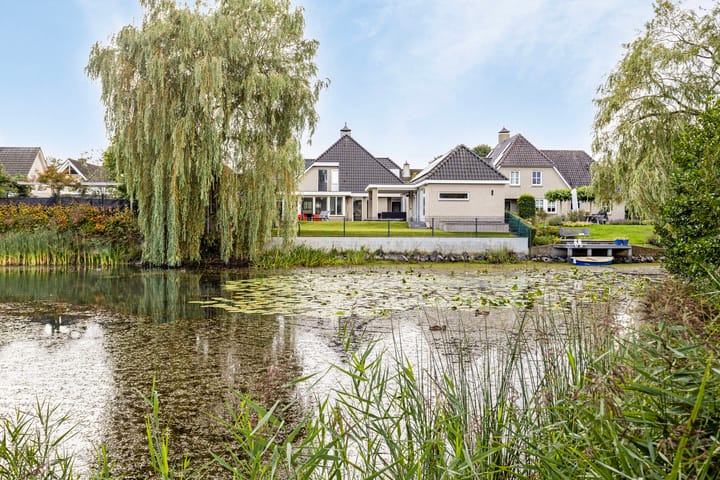 Foto 61 van Pinksterbloem 6