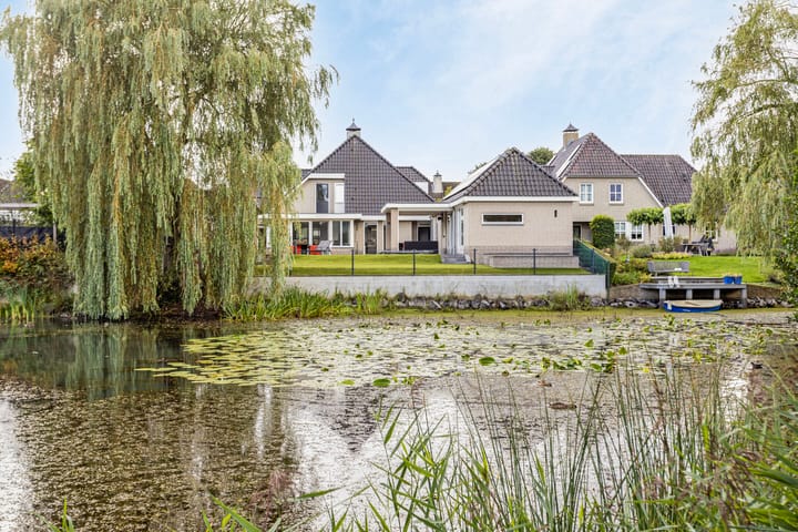 Foto 60 van Pinksterbloem 6