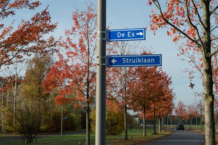 Bekijk foto 10 van Wonen aan De Es - bouwnummer 2