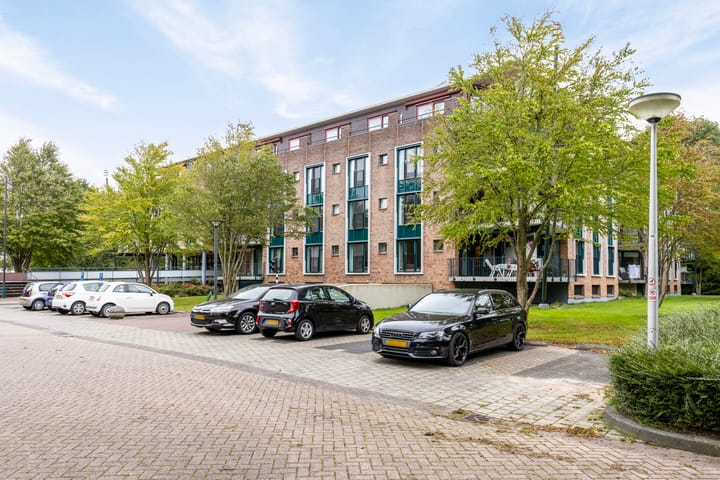 Foto 47 van Plantage 41