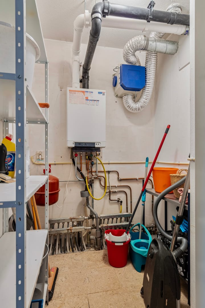 Foto 36 van Plantage 41