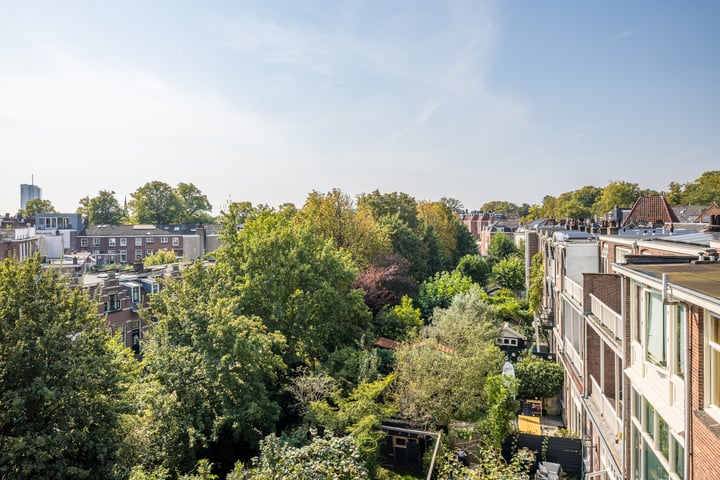 Bekijk foto 20 van Stadhouderslaan 107