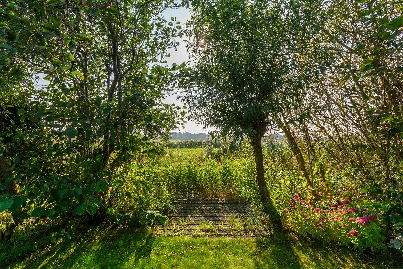 Foto 3 van Abbestederweg 26-BH8