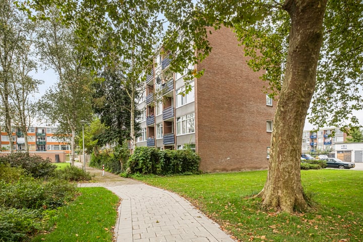 View photo 2 of Volkerakstraat 68