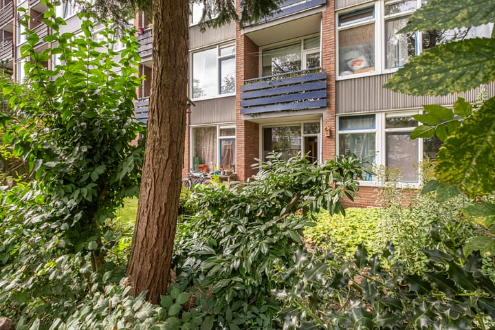 Foto 4 van Volkerakstraat 68