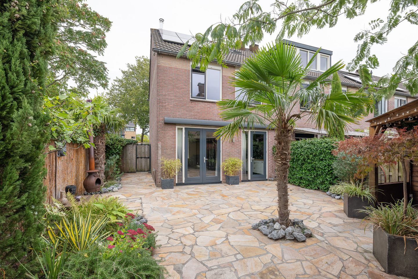 Foto 1 van Goudhaver 11