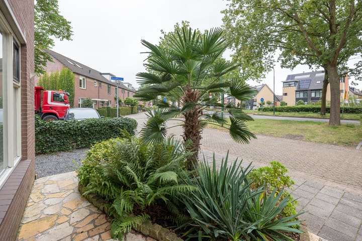 Foto 38 van Goudhaver 11