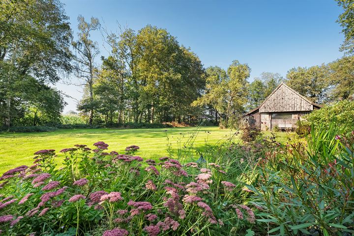 Bekijk foto 6 van Dwingelerweg 25