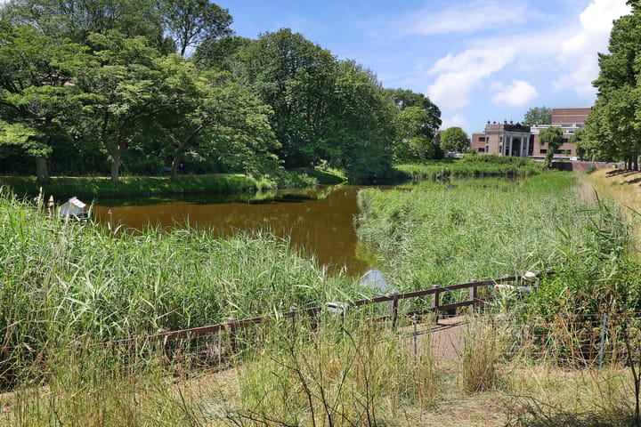 Foto 35 van Veersesingel 11