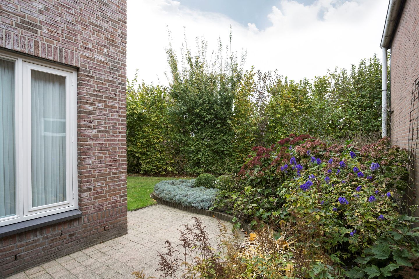 Foto 19 van Westelaarsestraat 30